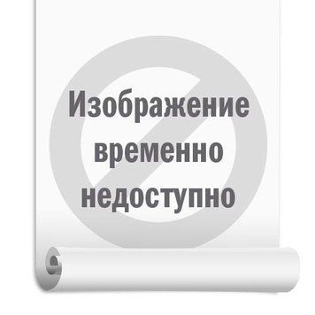 Захисник 100 мл 5294 фото